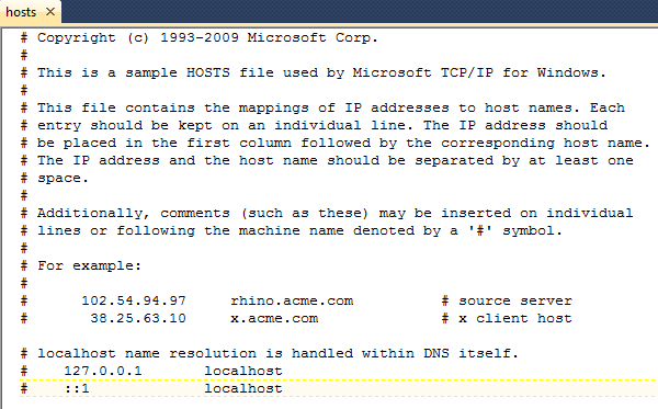 Figure 3: The IIS hosts file.